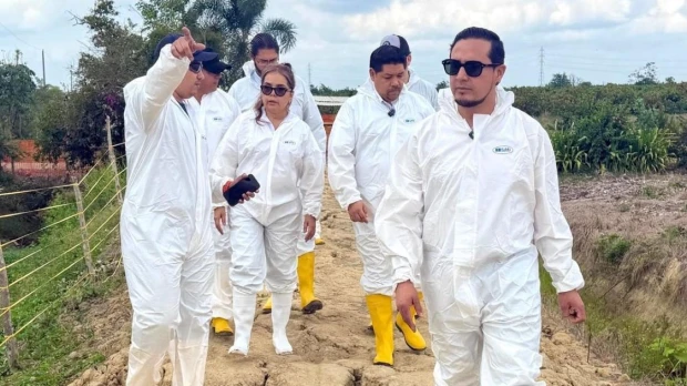 Agrocalidad refuerza controles contra Foc R4T y supervisa exportaciones en El Oro