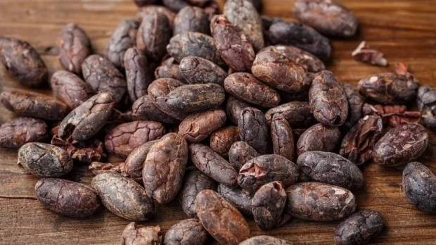 Descuentos internacionales afectan a productores ecuatorianos de cacao 