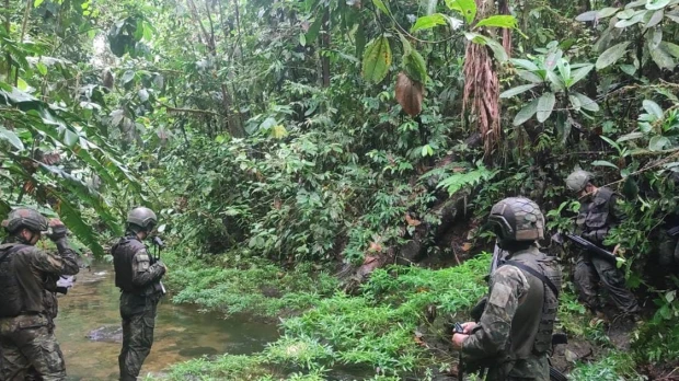 En Sucumbíos y Carchi hay plantaciones de coca