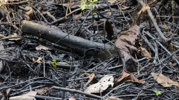 Petroecuador sumó un nuevo derrame a su récord