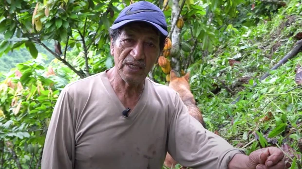 Miguel Ángel Maldonado narra su experiencia con el cacao en Palanda