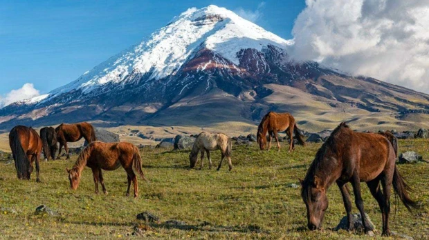 Turismo en Ecuador: los volcanes se consolidan como destinos para vivir experiencias más allá del paisaje 