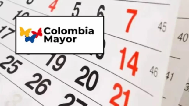 Consultar adulto mayor por cédula 2026: verifica si eres beneficiario en Prosperidad Social