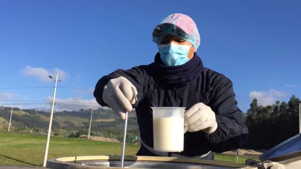 Pequeños productores de leche exigen respeto a precio mínimo