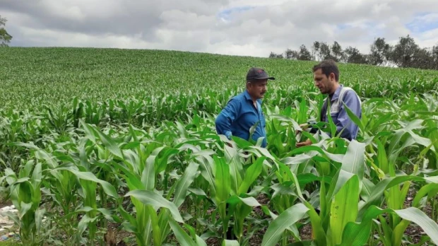 BanEcuador entrega USD 526 millones en créditos a casi 99.000 beneficiarios en 2026