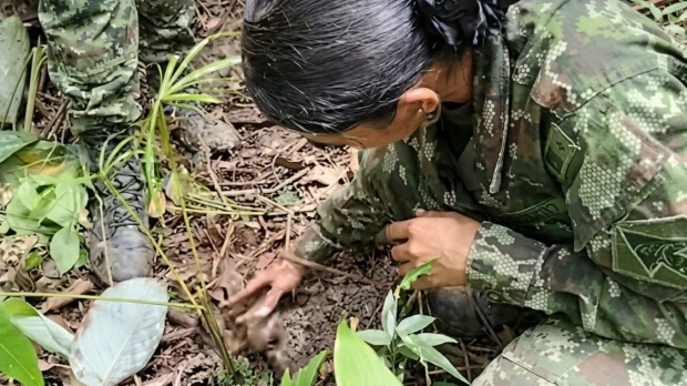 Maratón de la Amazonía impulsa la siembra de 2.800 árboles en Colombia