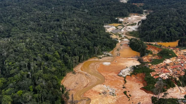 Colombia reporta 124 capturas y 269 zonas de minería ilegal intervenidas desde agosto