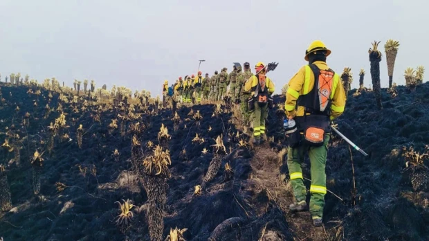 Bomberos controlan incendio en El Ángel con unas 800 hectáreas quemadas
