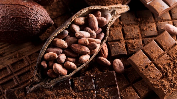 El cacao alcanza precio récord y supera los $9.600 por tonelada 