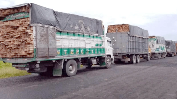 11 vehículos retenidos en Tiwintza por presunto transporte ilegal de madera