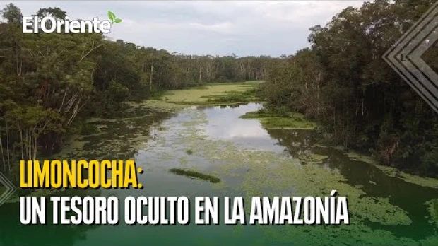 Laguna Limoncocha, el secreto mejor guardado de la Amazonía
