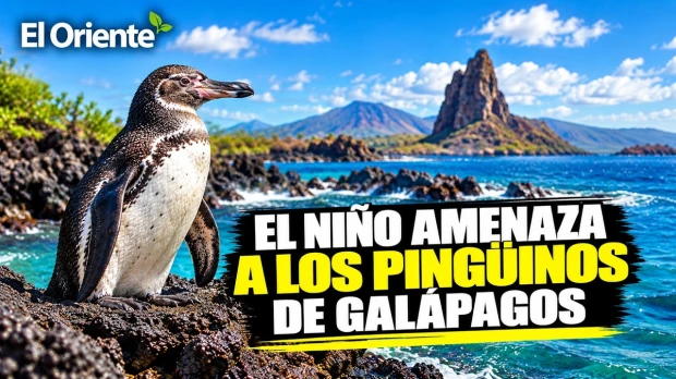 Noticias de Colombia, Ecuador y Perú. Noti Oriente [26 de octubre de 2026]