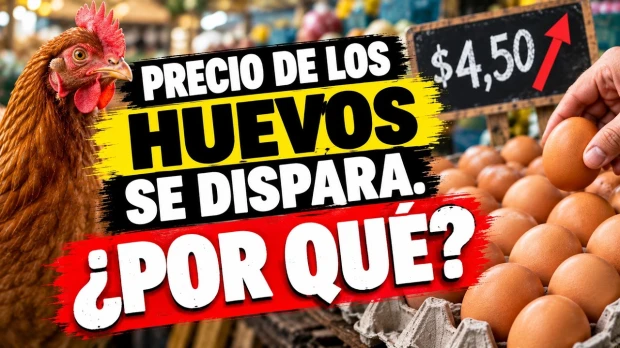 Noticias de Colombia, Ecuador y Perú. Noti Oriente [28 de septiembre de 2026]
