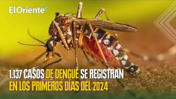 Noticias de Ecuador. Podcast Noti Oriente [24 de enero, 2024] 