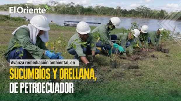 Noticias Ecuador. Podcast Noti Oriente 26-04-2023