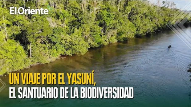 Yasuní: Un viaje a la Tierra Sagrada y su incomparable biodiversidad