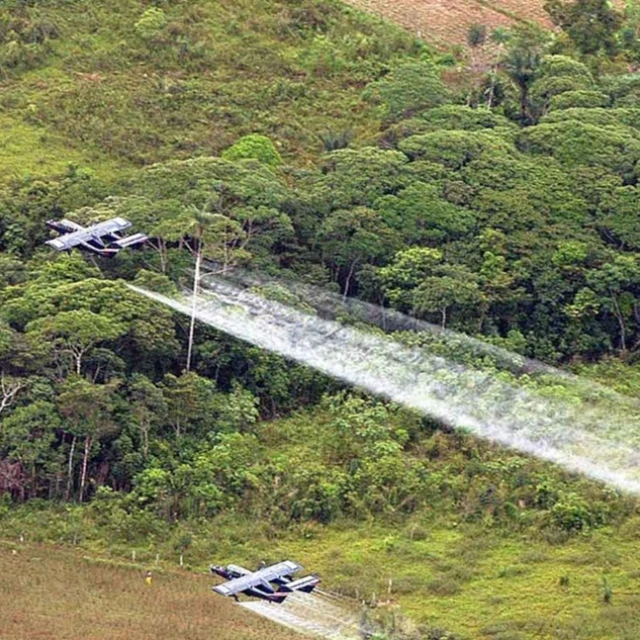 Gobierno identifica 9 municipios para piloto de aspersión de cultivos de coca en Putumayo