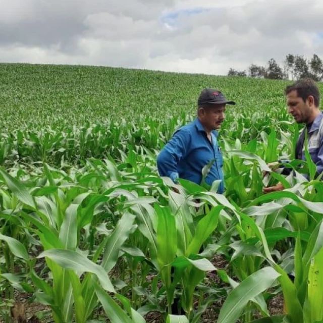 BanEcuador entrega USD 526 millones en créditos a casi 99.000 beneficiarios en 2026