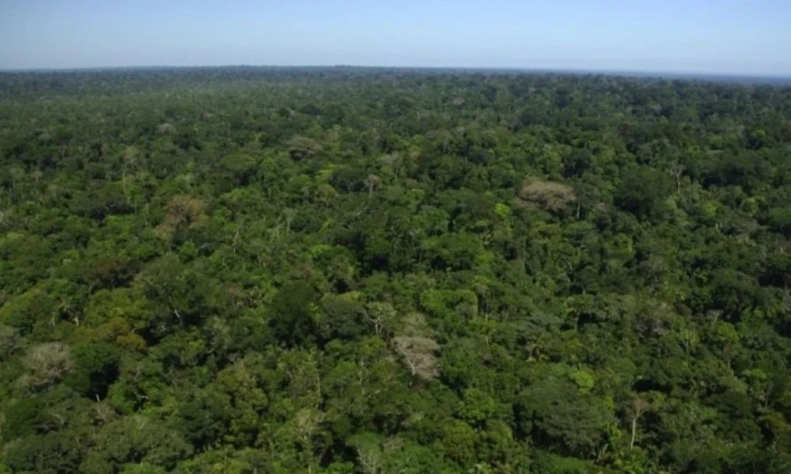 Colombia revoca protección que frenaba nuevos proyectos mineros en la Amazonía