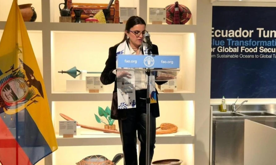 Gobierno busca cooperación internacional para reducir la desnutrición infantil y reforzar la protección de la niñez